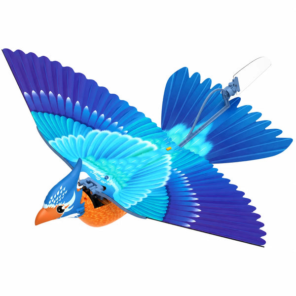 RC Bird
