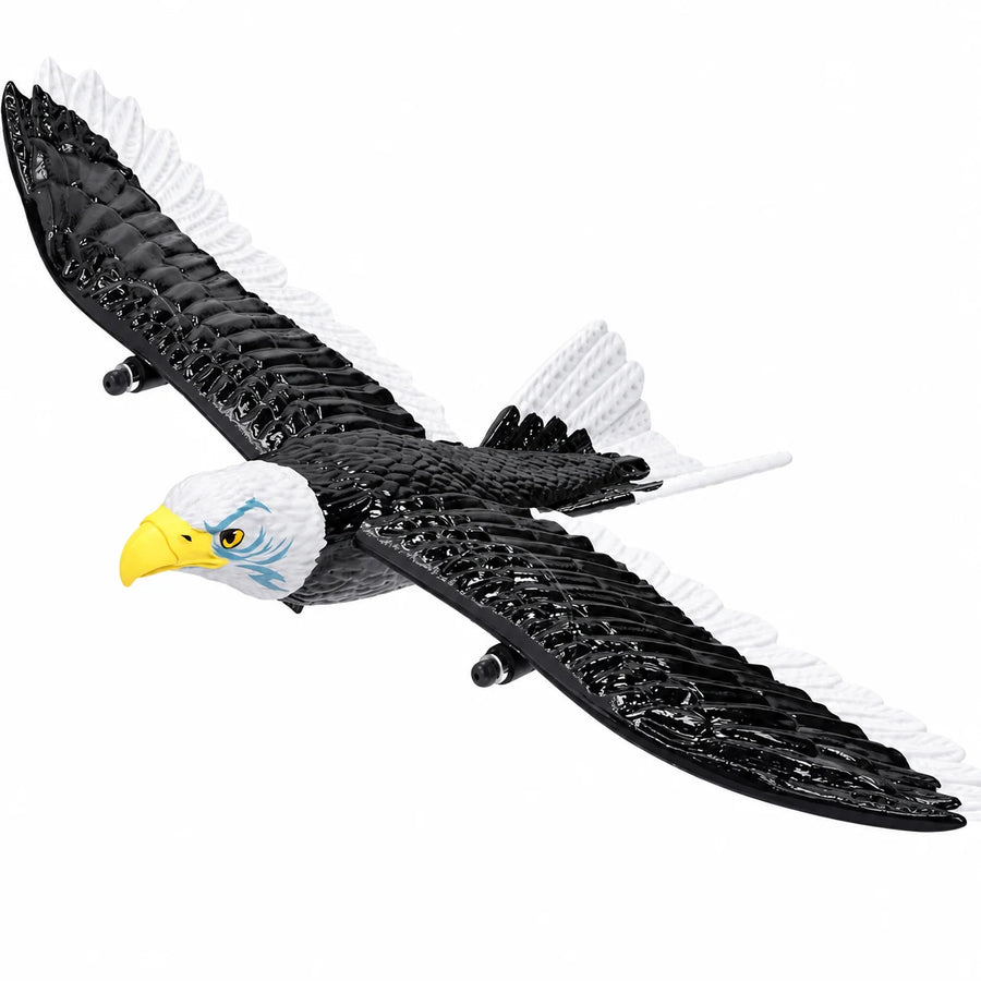 RC Eagle Plane